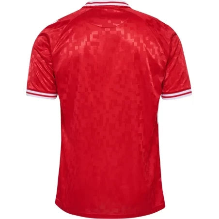 MAILLOT DANEMARK DOMICILE 24/25